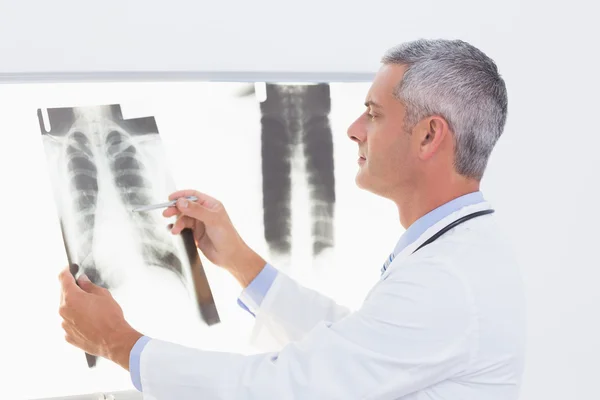 Concentrate doctor looking at X-Rays — Stock Photo, Image