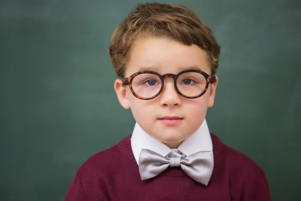 Netter Schüler blickt in Kamera — Stockfoto