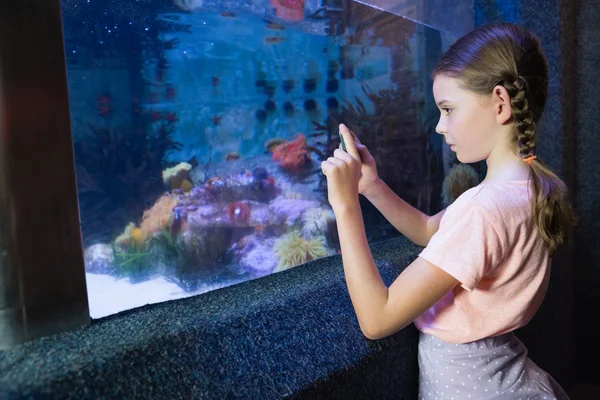 Leuk meisje op zoek naar aquarium — Stockfoto