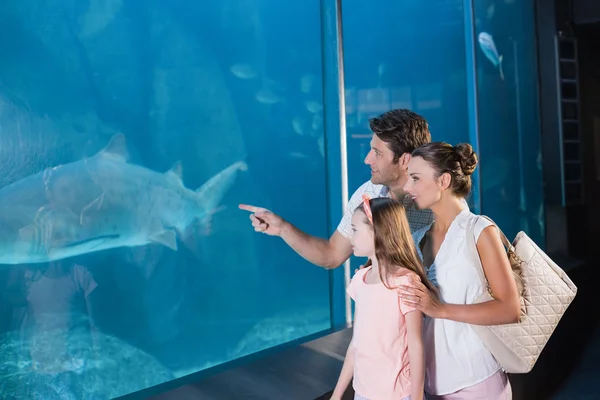 Happy family looking at fish tank — Stock Photo, Image