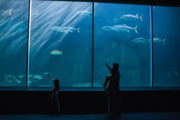 Glückliche Familie schaut auf Fischbecken — Stockfoto