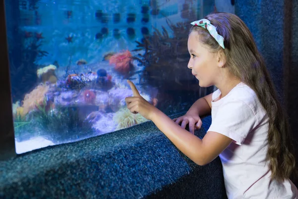 Leuk meisje op zoek naar aquarium — Stockfoto