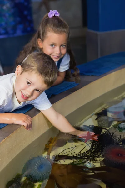 Маленькие братья и сёстры смотрят на аквариум — стоковое фото