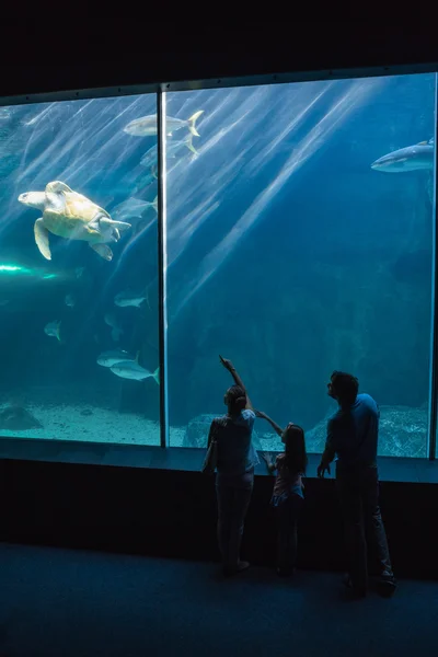 Famille heureuse regardant aquarium — Photo