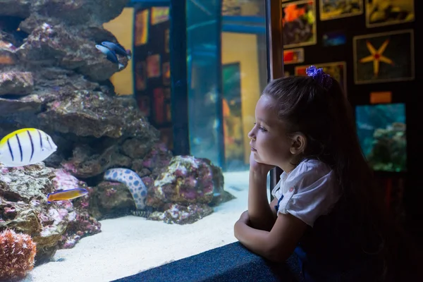 Mała dziewczynka patrząc na akwarium — Zdjęcie stockowe
