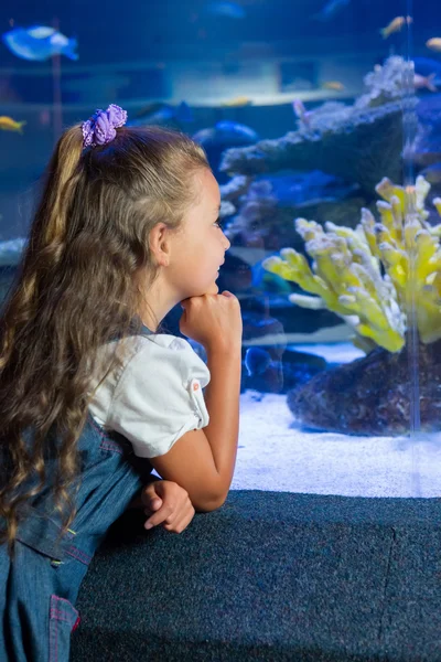 Menina olhando para tanque de peixe — Fotografia de Stock