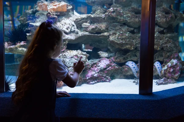 Liten flicka tittar på fisk tank — Stockfoto