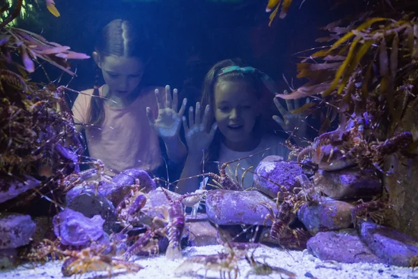 Filles mignonnes regardant aquarium — Photo