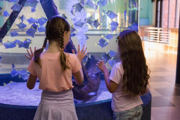 Słodkie dzieci patrząc na akwarium — Zdjęcie stockowe