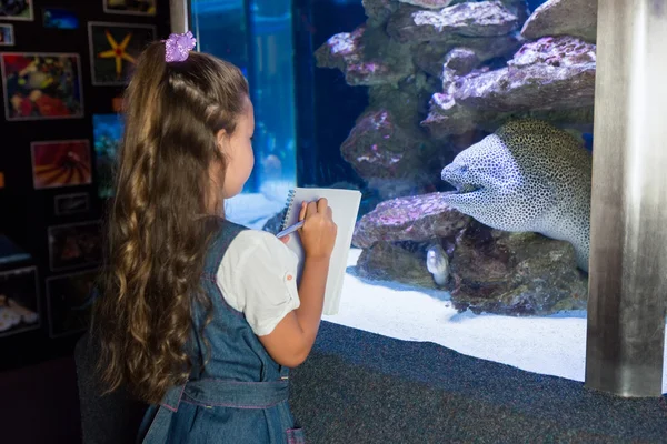 Kleines Mädchen blickt auf Fischbecken — Stockfoto