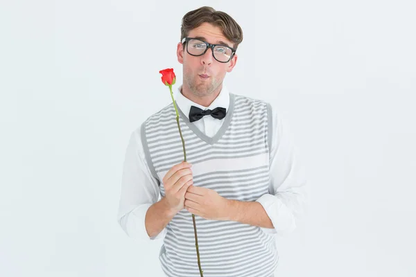 Geeky hipster sosteniendo una rosa roja — Foto de Stock