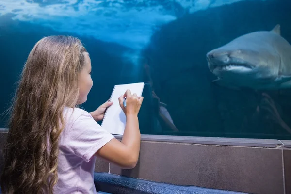 Little girl looking at fish tank — Stock Photo, Image