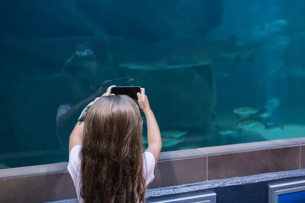 Little girl looking at fish tank — Stock Photo, Image