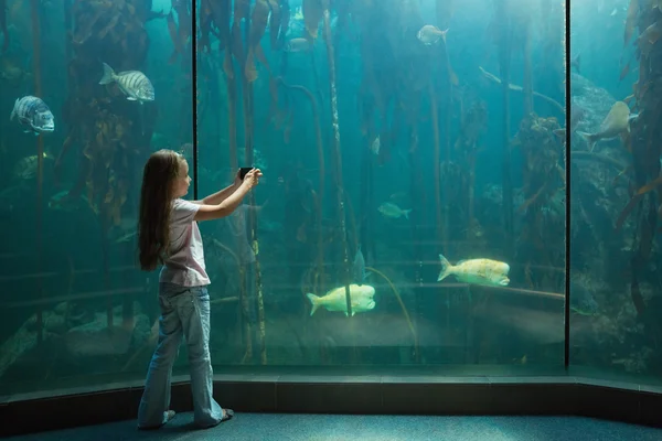 Ragazzina guardando il serbatoio di pesce — Foto Stock