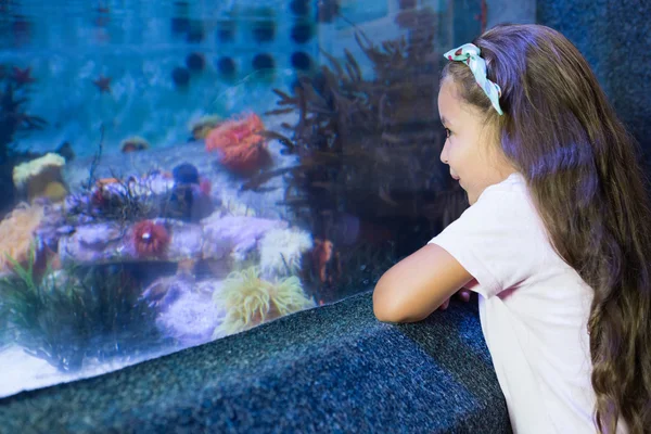 Cute dziewczyna patrząc na akwarium — Zdjęcie stockowe