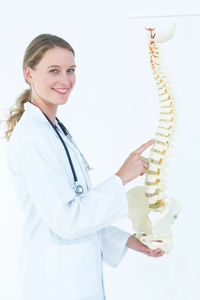 Medico femminile con colonna vertebrale anatomica — Foto Stock