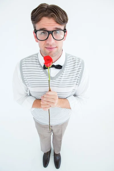 Geeky hipster sosteniendo una rosa roja —  Fotos de Stock