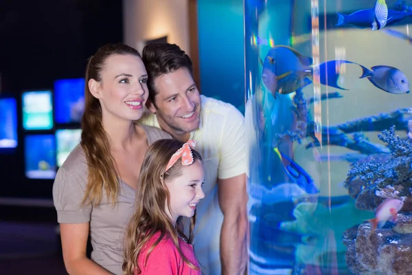 Happy family looking at fish tank — Stock Photo, Image