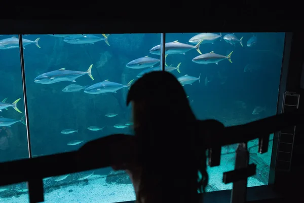 Meisje kijkend naar vissentank — Stockfoto
