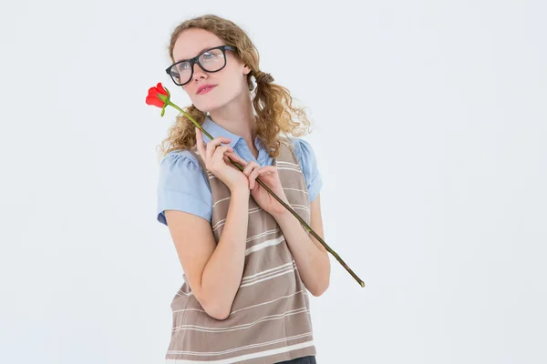 Gül tutan geeky hipster kadın — Stok fotoğraf