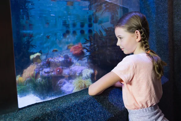 Симпатичная девушка смотрит на аквариум — стоковое фото