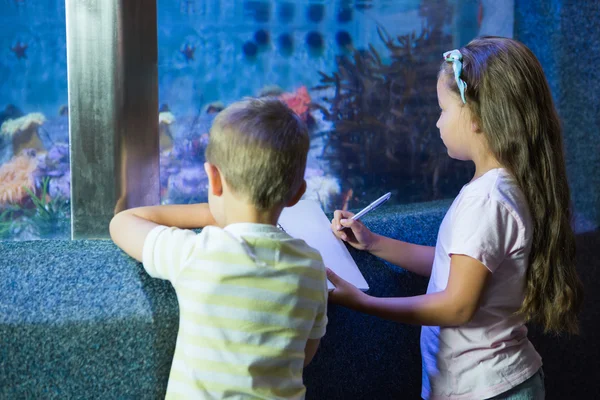 Cute siblings looking at fish tank — Stock Photo, Image