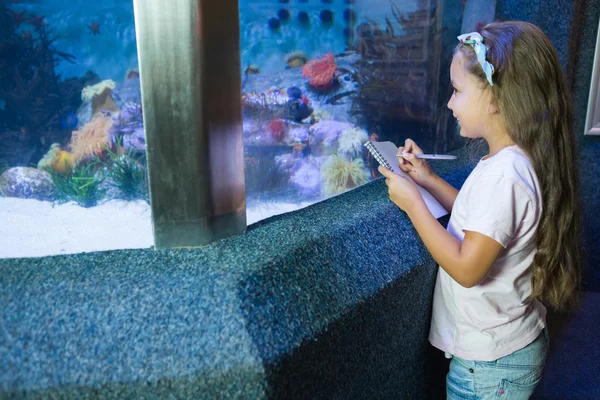 Leuk meisje op zoek naar aquarium — Stockfoto