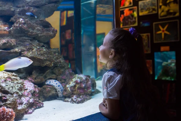 Petite fille regardant aquarium — Photo