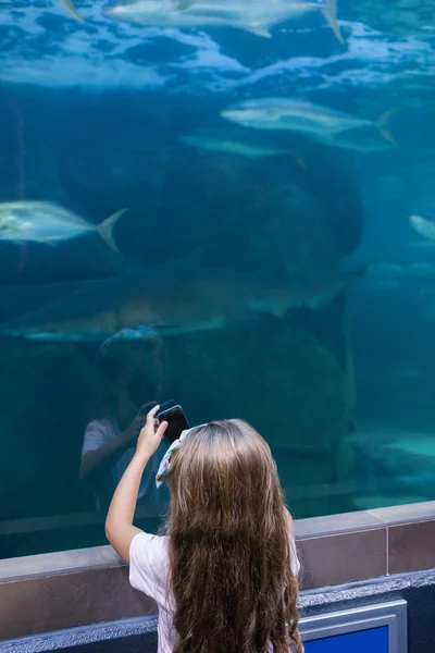 Petite fille regardant aquarium — Photo