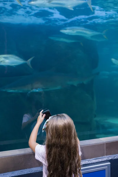 Little girl looking at fish tank — Stock Photo, Image