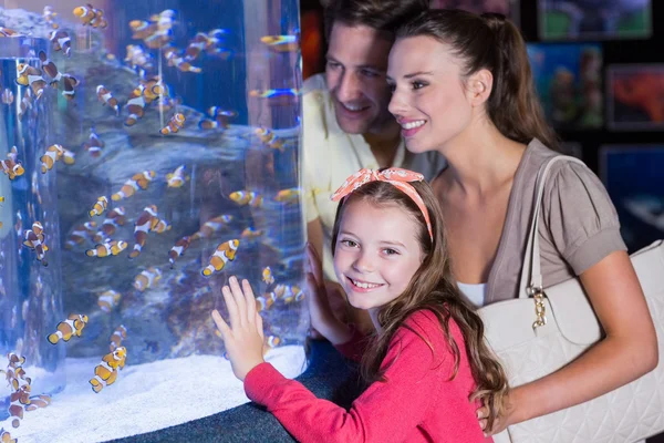 Happy family looking at fish tank — Stock Photo, Image