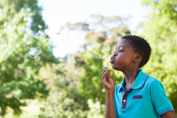 Petit garçon soufflant des bulles dans le parc — Photo