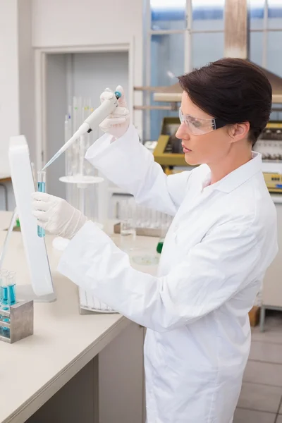 Scientist working attentively with test tube — Stock Photo, Image