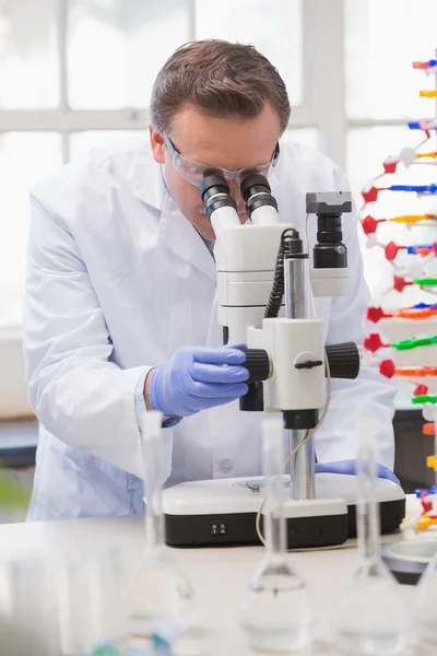 Scientist analysing petri dish with the microscope — Stock Photo, Image