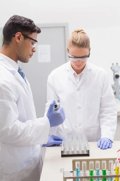 Scientists examining tubes in tray — Stock Photo, Image