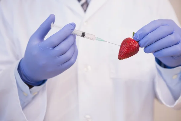 Scientist injecting strawberry — Stock Photo, Image