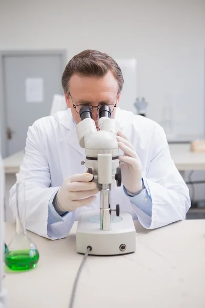 페 트리 접시를 현미경으로 검사 하는 과학자 — 스톡 사진
