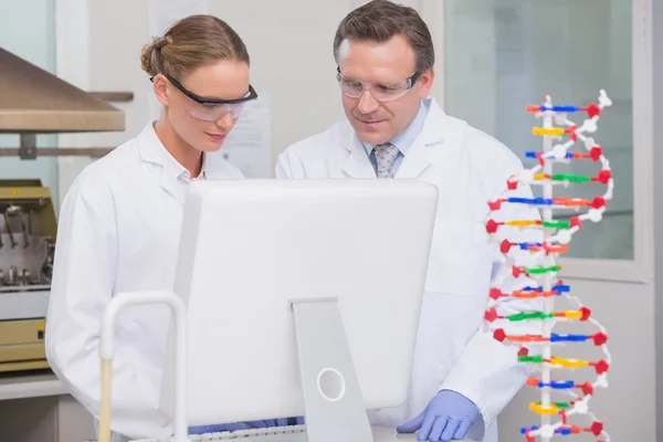 Scientists working on laptop together — Stock Photo, Image