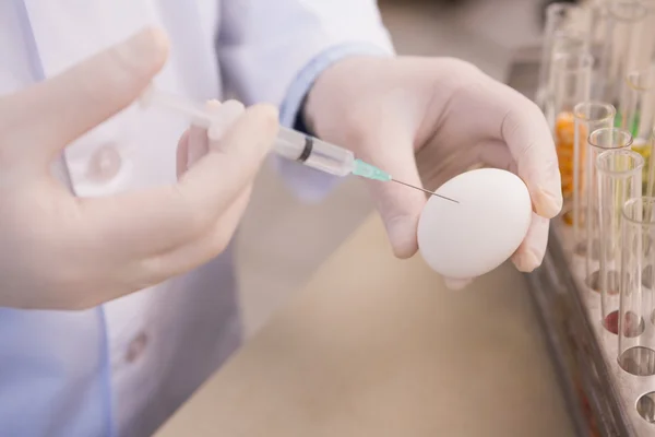 Ernährungswissenschaftler untersucht ein Ei — Stockfoto