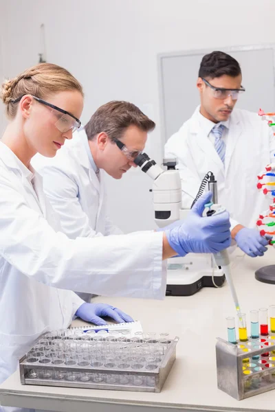 Scientists working attentively — Stock Photo, Image
