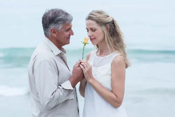 Homem oferecendo flor para sua namorada — Fotografia de Stock