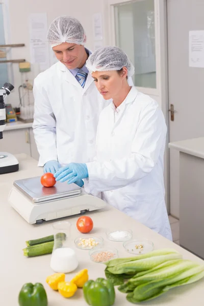 Scientists weighing tomato — Stock Photo, Image