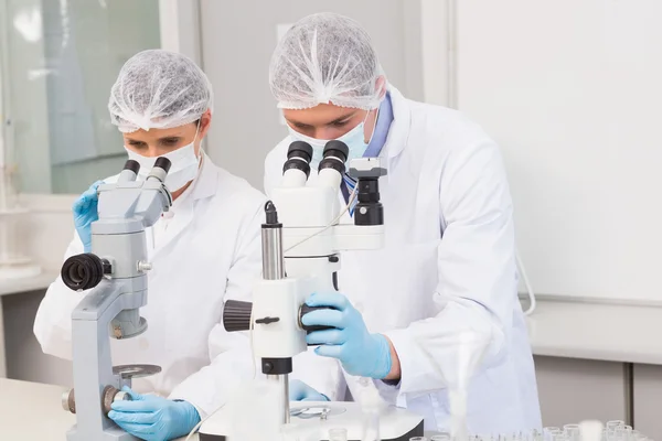 Científicos trabajando atentamente con microscopios — Foto de Stock