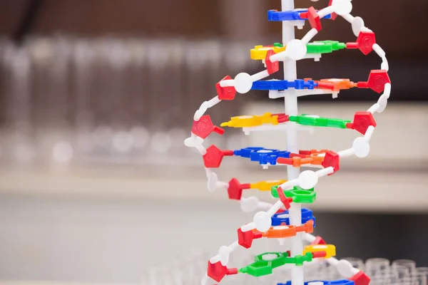 Modello di elica del DNA — Foto Stock