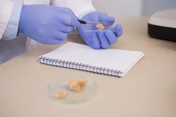 Científico examinando trozos de pan — Foto de Stock