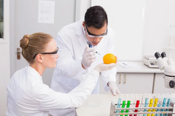 Cientistas concentrado injetando laranja — Fotografia de Stock