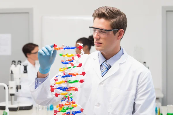 Ученый, создающий спираль ДНК — стоковое фото