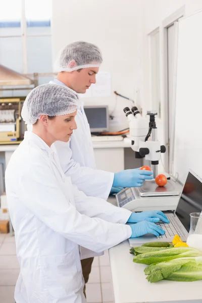 Científicos trabajando con verduras —  Fotos de Stock