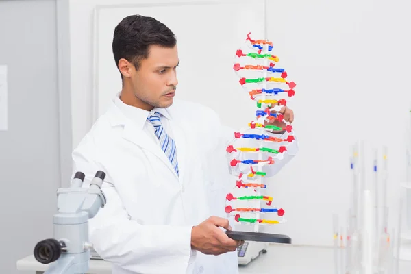Focus scientist guardando l'elica del DNA — Foto Stock
