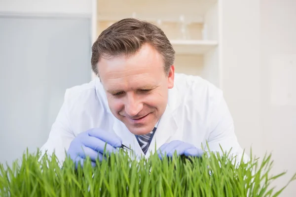 Happy scientist examining grass — Stock Photo, Image